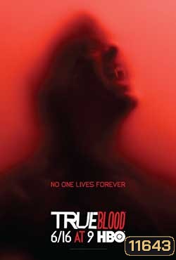 True Blood Season 6 (2013) ทรูบลัด แวมไพร์พันธุ์ใหม่ ปี 6