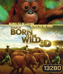 IMAX Born to be wild 3D มหัศจรรย์ชีวิตป่า