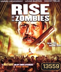 Rise of the Zombies (2012) ซอมบี้คุกแตก