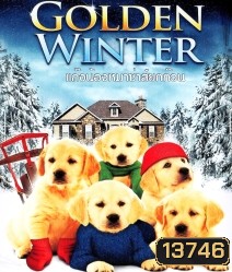 Golden winter แก๊งน้องหมาซ่าส์ยกก๊วน