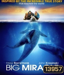 Big miracle ปาฏิหาริย์วาฬสีเทา