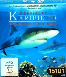 Adventure Caribbean 3D: Diving With Sharks (2012)