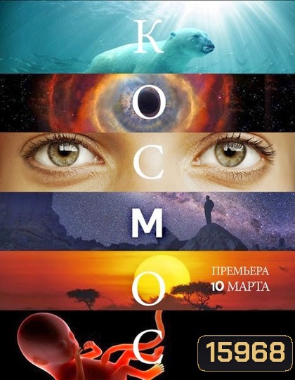 Cosmos A Spacetime Odyssey Season 1