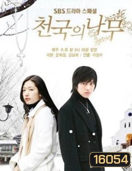 Tree of Heaven - สุดปลายฟ้า สัญญารักนิรันดร์