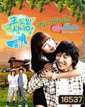 The Vineyard Man หนุ่มบ้านไร่หัวใจปิ๊งรัก