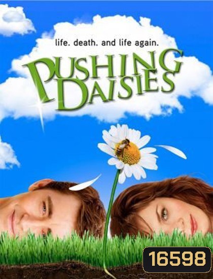 Pushing Daisies Season 1 : นักสืบสัมผัสมหัศจรรย์ ปี 1