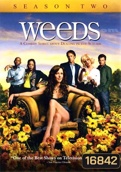 Weeds Season 2 : หม่ายชุลมุน ปี 2