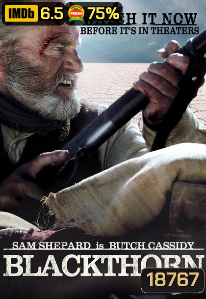 Blackthorn (2011) เสือลายคราม