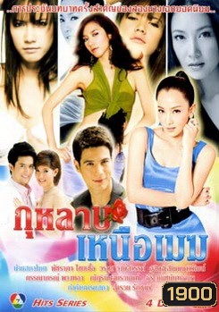 กุหลาบเหนือเมฆ