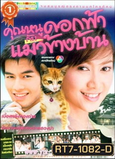 คุณหนูดอกฟ้ากะแมวข้างบ้าน