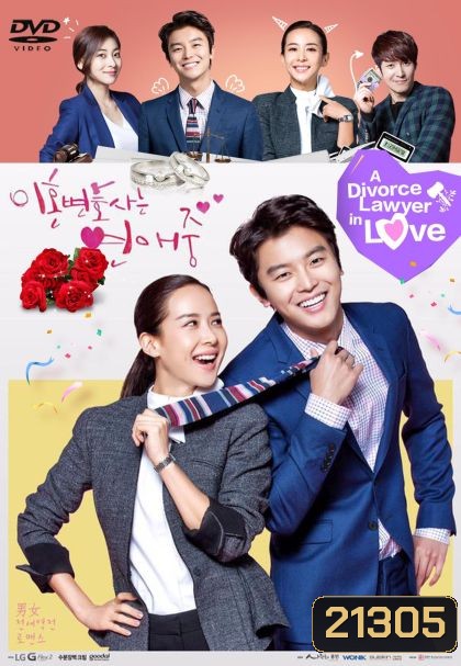 Divorce Lawyer in Love