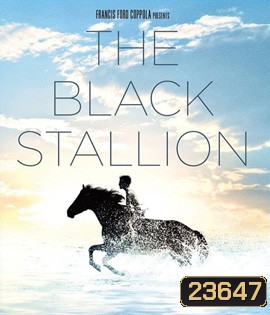 The Black Stallion (1979) อาชาเพื่อนยาก