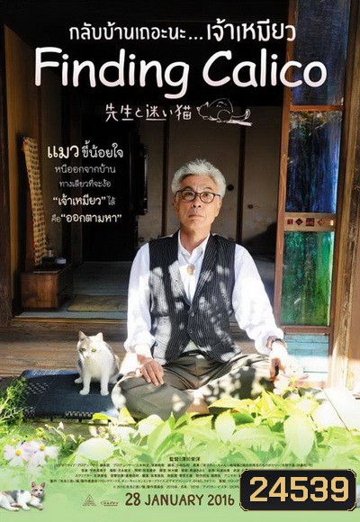 FINDING CALICO กลับบ้านเถอะนะ เจ้าเหมียว