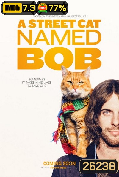 A Street Cat Named Bob