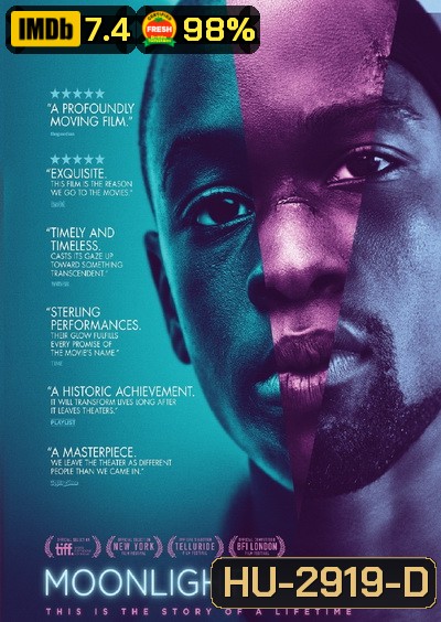 Moonlight มูนไลท์ ใต้แสงจันทร์ ทุกคนฝันถึงความรัก