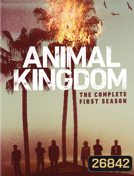 Animal Kingdom Season 1 ตระกูลชั่ว ครอบครัวโจร ปี 1 ( 10 ตอนจบ )