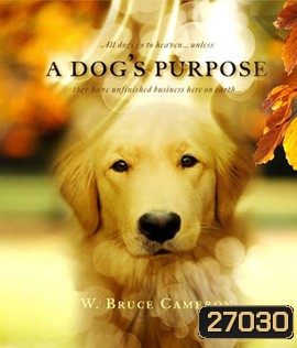 A Dog's Purpose (2017) หมา เป้าหมาย และเด็กชายของผม