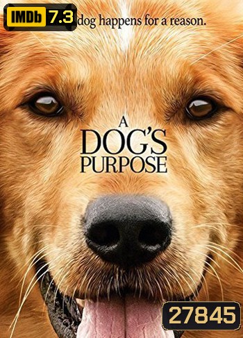 A Dog's Purpose