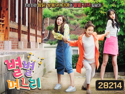 Sisters in Law / All Kinds of Daughters in Law