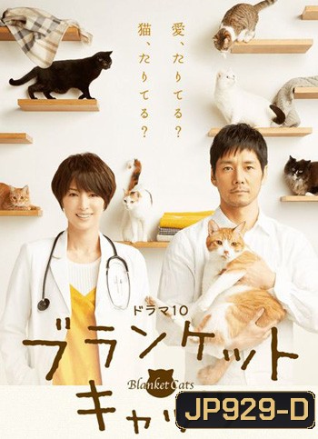 Blanket Cats 2017
