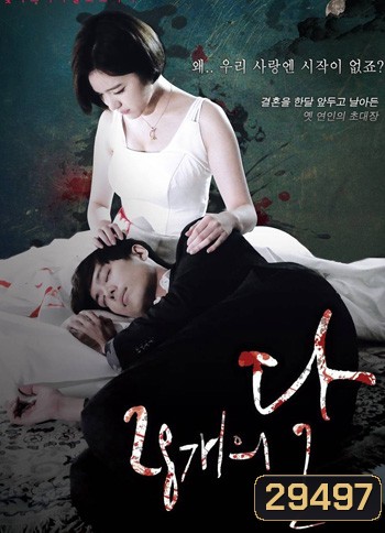 28 Faces Of The Moon