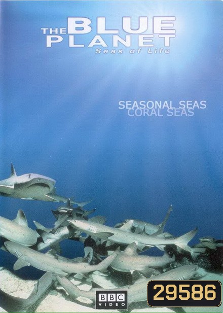BLUE PLANET ตอน Season AL SEAS