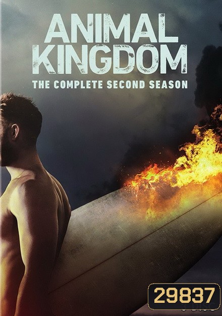 ANIMAL KINGDOM ตระกูลชั่ว ครอบครัวโจร Season 2 (13 ตอนจบ)