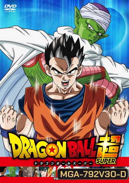Dragon Ball Super Vol.30