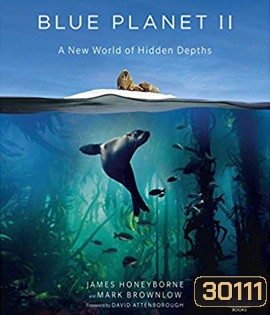 Blue Planet II (2017) A New World of Hidden Depths