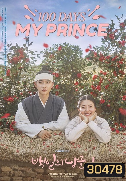 100 Days My Prince ( 16 ตอนจบ )
