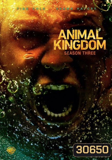 ANIMAL KINGDOM ตระกูลชั่ว ครอบครัวโจร Season 3 (13 ตอนจบ)