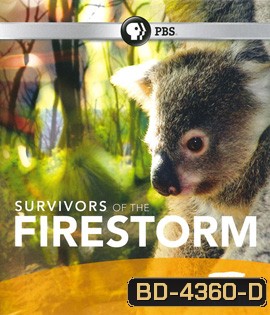 Nature: Survivors of the Firestorm