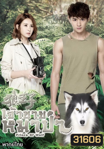Prince Of Wolf หยุดหัวใจ...เจ้าชายหมาป่า ( 30 ตอนจบ )