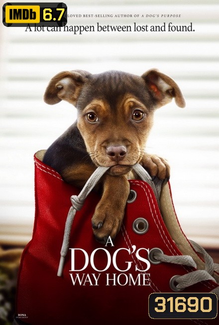 A Dog's Way Home (2019) เพื่อนรักผจญภัยสี่ร้อยไมล์