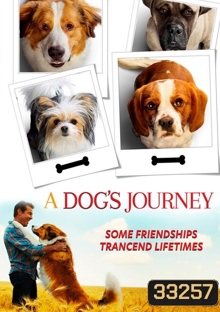 A Dog's Journey หมา เป้าหมาย และเด็กชายของผม 2