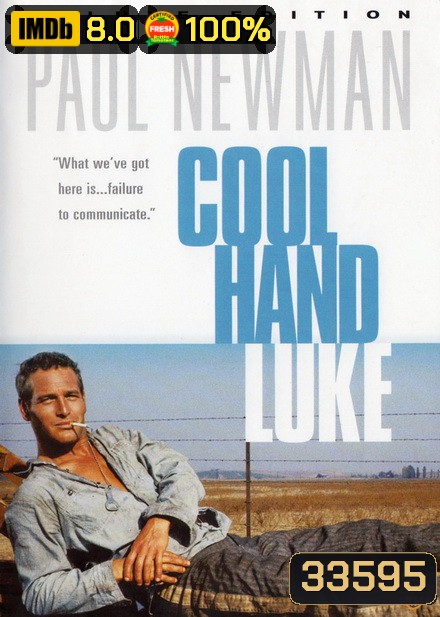 Cool Hand Luke (1967) คนสู้คน