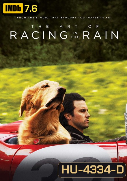 The Art of Racing in the Rain (2019) อุ่นไอหัวใจตูบ