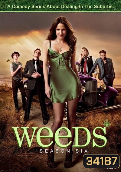 Weeds Season 6 : หม่ายชุลมุน ปี 6