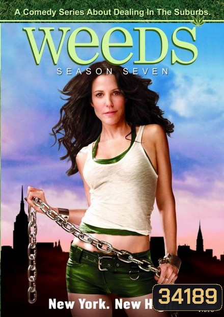 Weeds Season 7 : หม่ายชุลมุน ปี 7