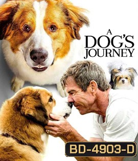 A Dog's Journey (2019) หมา เป้าหมาย และเด็กชายของผม 2