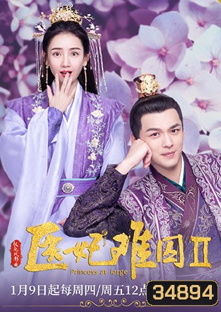 Princess at Large 2 พระชายาลอยนวล 2