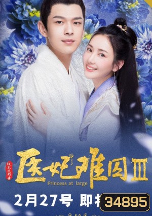 Princess at Large 3 พระชายาลอยนวล 3