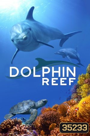 Dolphin Reef Disney อัศจรรย์ชีวิตของโลมา (2020)