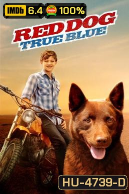 Red Dog: True Blue (2016)