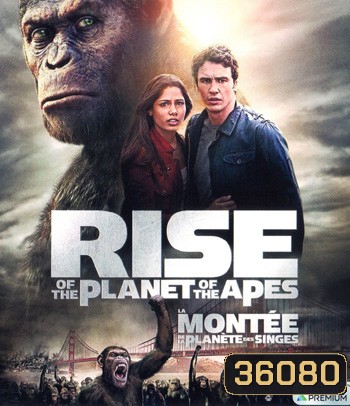 4K - Rise of the Planet of the Apes (2011) กำเนิดพิภพวานร - แผ่นหนัง 4K UHD