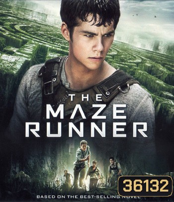 4K - Maze Runner (2014) วงกตมฤตยู - แผ่นหนัง 4K UHD