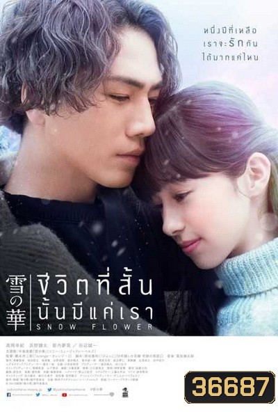 Snow Flower ชีวิตที่สั้นนั้นมีแค่เรา