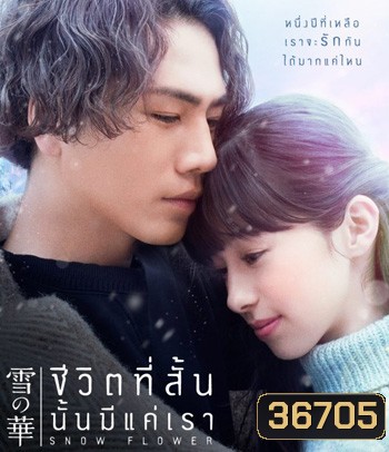 Snow Flower (2019) ชีวิตที่สั้น นั้นมีแค่เรา