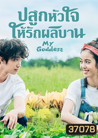 My Goddess (2018) ปลูกหัวใจให้รักผลิบาน