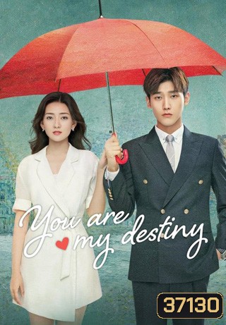 You Are My Destiny (2020) พรหมลิขิตนี้คือเธอ (36 ตอนจบ)